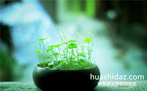 華東師范大學在職研究生和同等學力申碩有什么區(qū)別