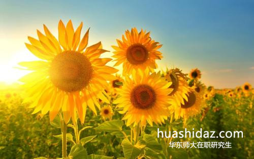 華東師范大學在職研究生招生人數有限制嗎?